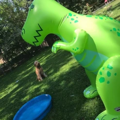 William Valentine Giant Inflatable T-Rex Dinosaur Yard Sprinkler 1.9m Tall! 21 William Valentine Giant Inflatable T-Rex Dinosaur Yard Sprinkler 1.9m Tall!