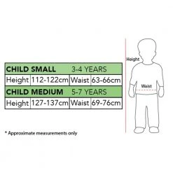 Rubies Deerfield Star Wars Princess Leia Deluxe Child Costume