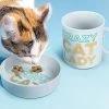IsAlbi Crazy Cat Lady Mug & Cat Bowl Set Mugs 2 IsAlbi Crazy Cat Lady Mug & Cat Bowl Set Mugs