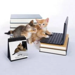 IsAlbi Daily Cattitudes | Desktop Flip Book New 9 IsAlbi Daily Cattitudes | Desktop Flip Book New