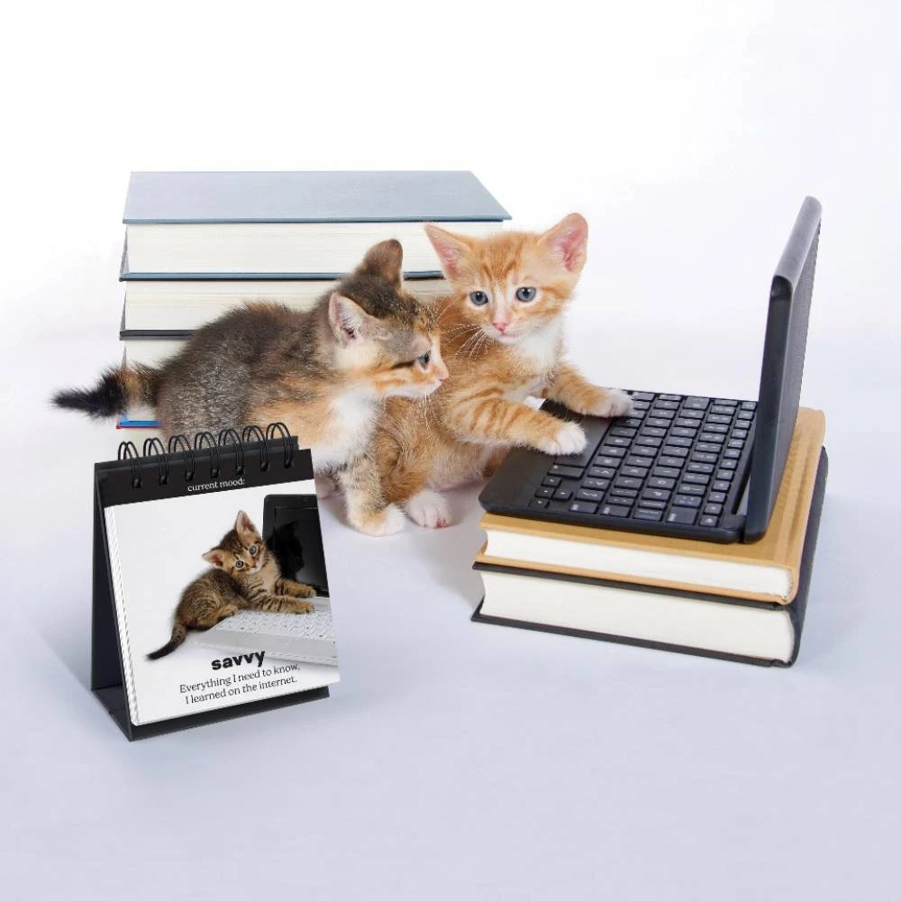 IsAlbi Daily Cattitudes | Desktop Flip Book New 5 IsAlbi Daily Cattitudes | Desktop Flip Book New