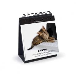 IsAlbi Daily Cattitudes | Desktop Flip Book New 10 IsAlbi Daily Cattitudes | Desktop Flip Book New