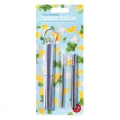 IsAlbi Extendable Straw With Case Keyring & Cleaning Brush Travel Gifts