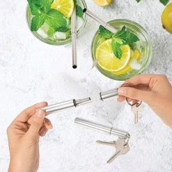 IsAlbi Extendable Straw With Case Keyring & Cleaning Brush Travel Gifts