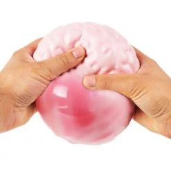 PMG Giant Stress Ball | Brain