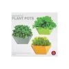 ThumbsUp! For Dad Magnetic Plant Pots For Fridge | Set Of 3
