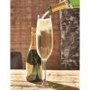 Outliving Giant Products Oversized Champagne Glass - Holds An Entire Bottle! 2 Outliving Giant Products Oversized Champagne Glass - Holds An Entire Bottle!