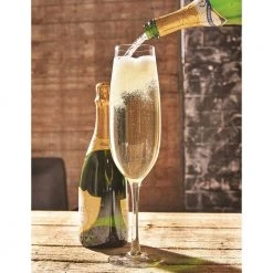 Outliving Giant Products Oversized Champagne Glass - Holds An Entire Bottle!