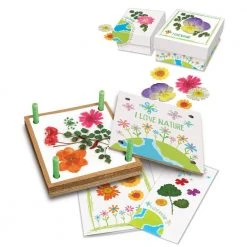 Johnco Pressed Flower Art Kit Sports And Outdoors