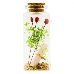 Short Story Gifts For BFFs Mini Rose Garden Write & Gift Message In A Bottle 7.5cms