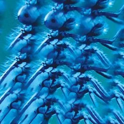 IsAlbi Novelty Gifts For Her Smartphone Clip-on Camera Kaleidoscope