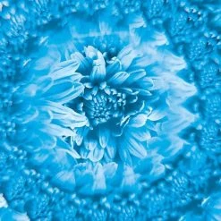 IsAlbi Novelty Gifts For Her Smartphone Clip-on Camera Kaleidoscope