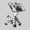 William Valentine New Zebra Adjustable Phone Holder 1 William Valentine New Zebra Adjustable Phone Holder