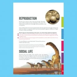 Heebiejeebies Elliot's Guide To Dinosaurs Book