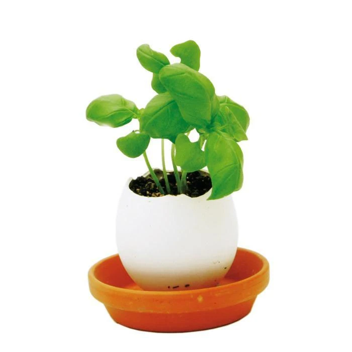 Outliving Eggling Crack & Grow Planter Kit With Tray Sports And Outdoors 4 Outliving Eggling Crack & Grow Planter Kit With Tray Sports And Outdoors