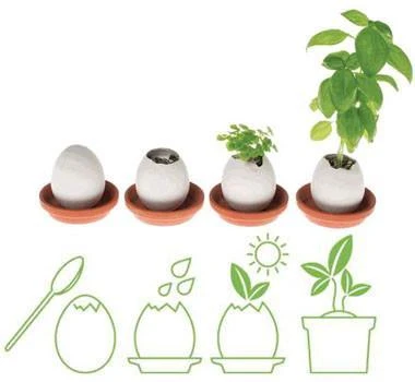 Outliving Eggling Crack & Grow Planter Kit With Tray Sports And Outdoors 7 Outliving Eggling Crack & Grow Planter Kit With Tray Sports And Outdoors