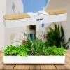 Steady Sticks Micro Herbs Window Sill Planter Box Grow Kit 2 Steady Sticks Micro Herbs Window Sill Planter Box Grow Kit