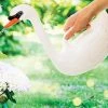 IsAlbi Sports And Outdoors Swan Watering Can 2 IsAlbi Sports And Outdoors Swan Watering Can
