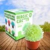 MDI Magical Crystal Cactus Grow Kit 2 MDI Magical Crystal Cactus Grow Kit