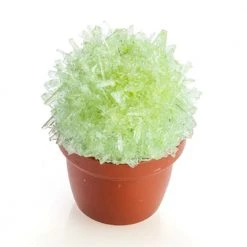 MDI Magical Crystal Cactus Grow Kit