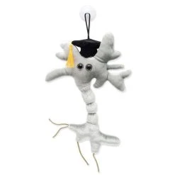 Heebiejeebies Giant Products Graduation Brain Neuron Cell Plush Toy | Giant Microbes