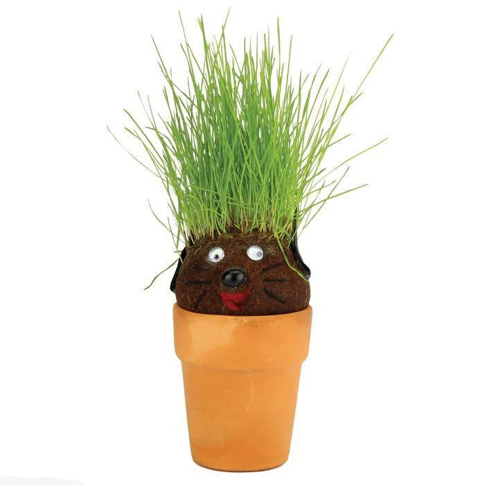 Heebiejeebies Sports And Outdoors Magic Pot Head Plant 5 Heebiejeebies Sports And Outdoors Magic Pot Head Plant