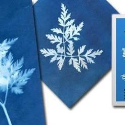 Heebiejeebies Sunprint - Sun Sensitive Art Paper: Create Beautiful Shadow Prints