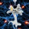 Heebiejeebies Giant Products Graduation Brain Neuron Cell Plush Toy | Giant Microbes 2 Heebiejeebies Giant Products Graduation Brain Neuron Cell Plush Toy | Giant Microbes
