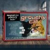 IsAlbi Science STEM Toys Grouchy Cat Fridge Magnet Poetry Kit 2 IsAlbi Science STEM Toys Grouchy Cat Fridge Magnet Poetry Kit