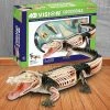 Mdi Crocodile 4D Anatomy Model Science STEM Toys 2 Mdi Crocodile 4D Anatomy Model Science STEM Toys