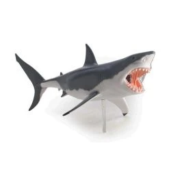 Mdi Science STEM Toys Great White Shark 4D Anatomy Model