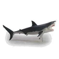 Mdi Science STEM Toys Great White Shark 4D Anatomy Model