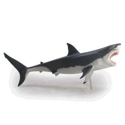 Mdi Science STEM Toys Great White Shark 4D Anatomy Model