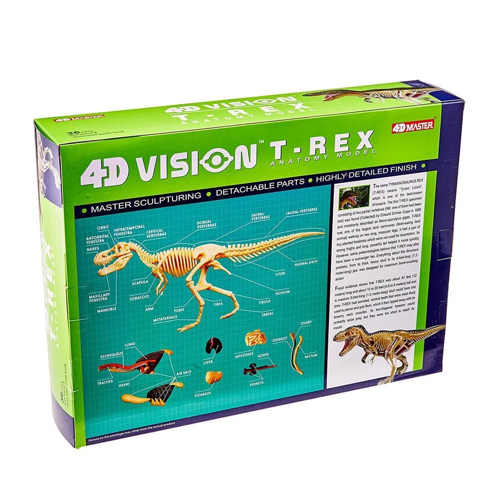 Mdi T-Rex 4D Anatomy Model Science STEM Toys 5 Mdi T-Rex 4D Anatomy Model Science STEM Toys