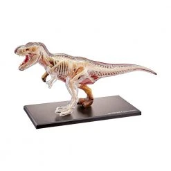 Mdi T-Rex 4D Anatomy Model Science STEM Toys 9 Mdi T-Rex 4D Anatomy Model Science STEM Toys