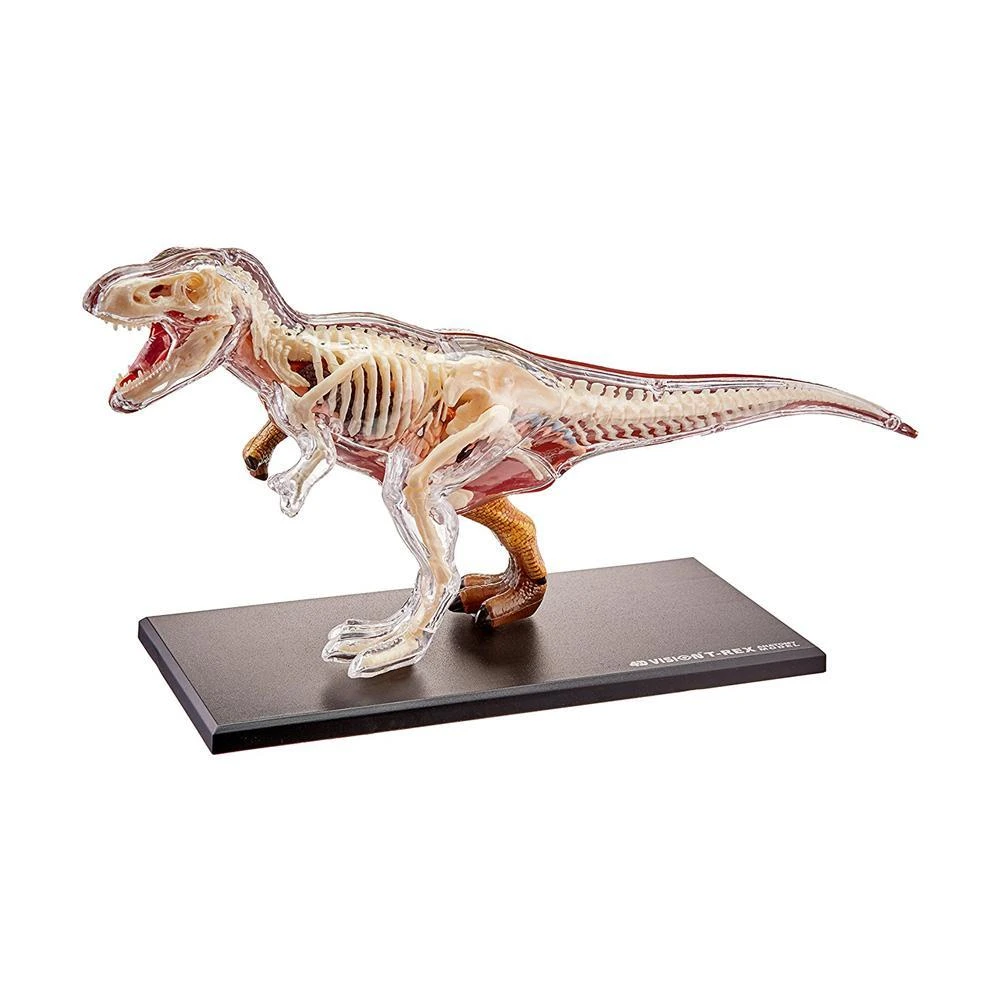 Mdi T-Rex 4D Anatomy Model Science STEM Toys 6 Mdi T-Rex 4D Anatomy Model Science STEM Toys