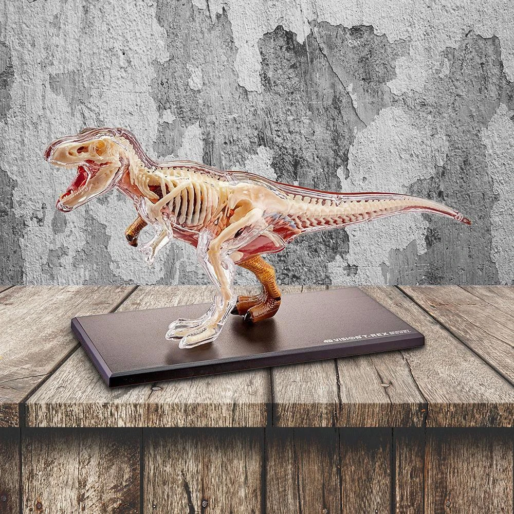Mdi T-Rex 4D Anatomy Model Science STEM Toys 3 Mdi T-Rex 4D Anatomy Model Science STEM Toys