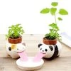 Outliving Sports And Outdoors Self-Watering Drinking Animal Planters