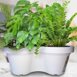 Annabel Trends White Triple Planter