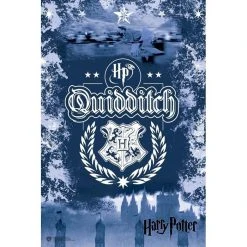 Brumby Sunstate Harry Potter Collectible Quidditch Set