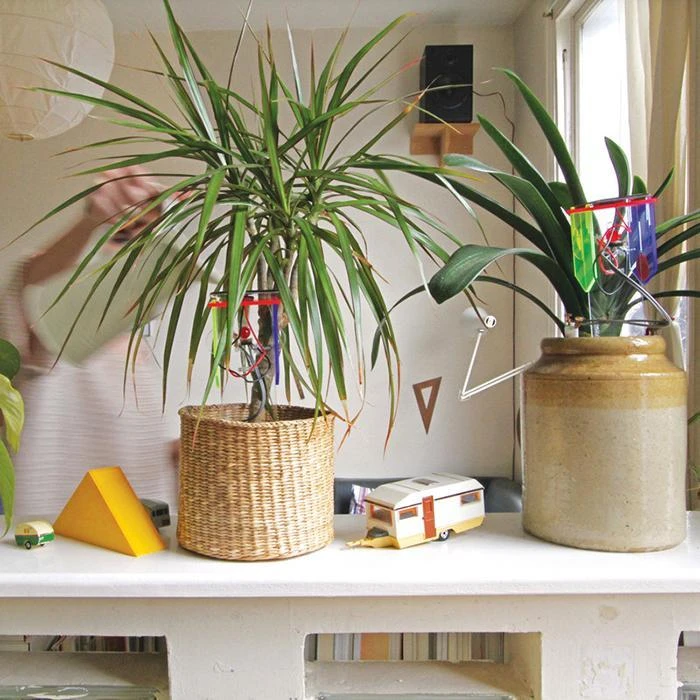 UNTIL Science STEM Toys DIY Thirsty Plant Kit 5 UNTIL Science STEM Toys DIY Thirsty Plant Kit