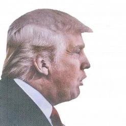 ThumbsUp! Mens Novelty Gifts 'Ride With' Novelty Car Window Decals