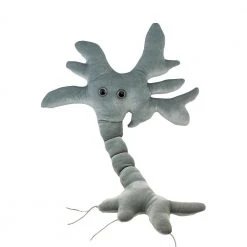 Heebiejeebies Gigantic Plush Neuron Brain Cell 68cms Giant Products