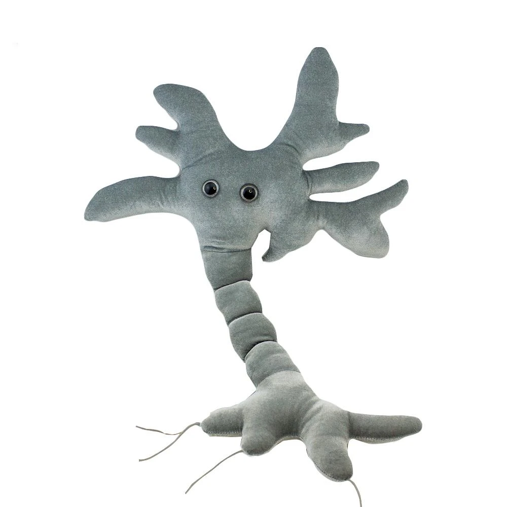Heebiejeebies Gigantic Plush Neuron Brain Cell 68cms Giant Products 4 Heebiejeebies Gigantic Plush Neuron Brain Cell 68cms Giant Products