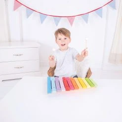 Artiwood Coloured Wooden Xylophone