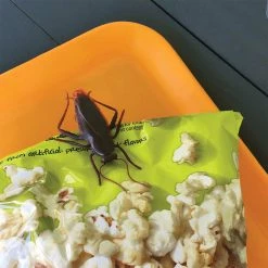 IsAlbi Roach Food Bag Clips | Set Of Four