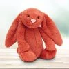 IsAlbi Jellycat Medium Bashful Cinnamon Bunny Baby Shower Gifts 2 IsAlbi Jellycat Medium Bashful Cinnamon Bunny Baby Shower Gifts