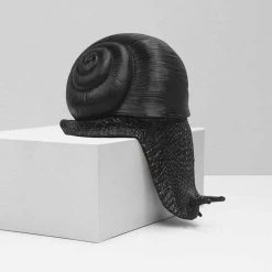 Sports And Outdoors Shelf Snail Decor | White Moose 11 Sports And Outdoors Shelf Snail Decor | White Moose