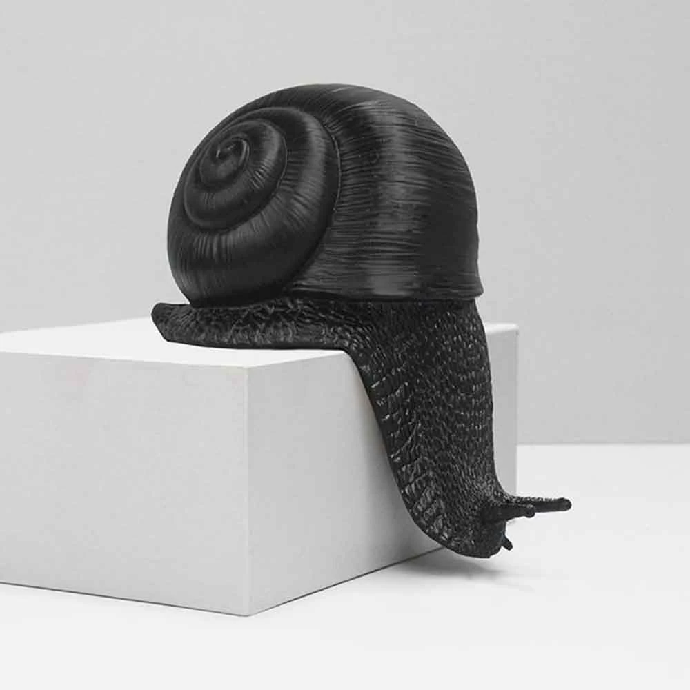 Sports And Outdoors Shelf Snail Decor | White Moose 7 Sports And Outdoors Shelf Snail Decor | White Moose