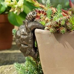 Jasnor Bronze Pot Buddies Tortoise